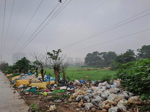 Hanoi builds regulations to strictly handle violations of solid waste. Photo: Minh Hanh