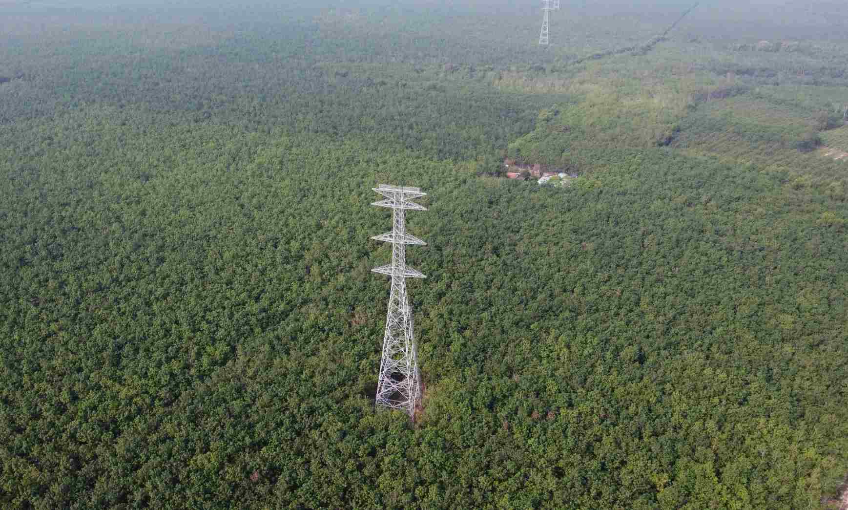 Binh Duong province leaders directed localities and sectors to work together to overcome difficulties in site clearance for power transmission projects. Photo: Dinh Trong