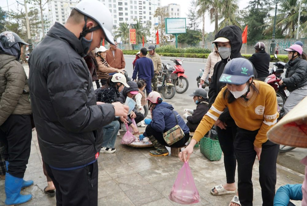 Cá khoai được “săn đón” sau dịp Tết với giá thành cao, giúp ngư dân ở TP Sầm Sơn thu bạc triệu sau mỗi chuyến ra khơi.  Ảnh: Quách Du