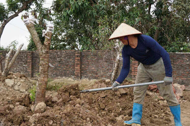 Ong Hoang Kim Khanh