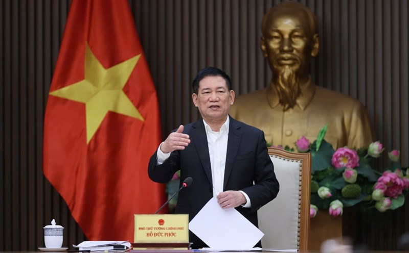 Deputy Prime Minister Ho Duc Phoc concluded the meeting. Photo: VGP