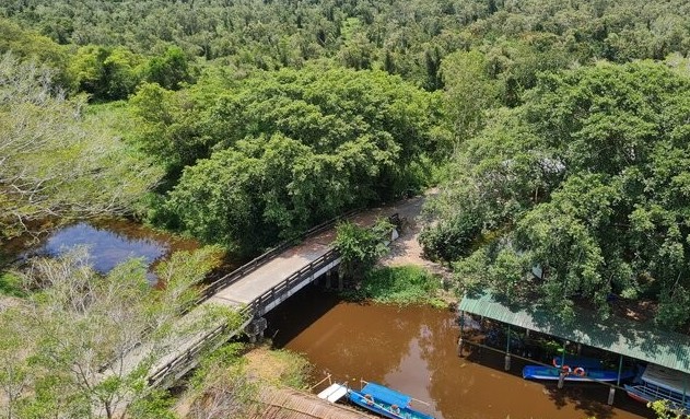 Một góc rừng tràm U Minh Hạ, Cà Mau. Ảnh: Nhật Hồ