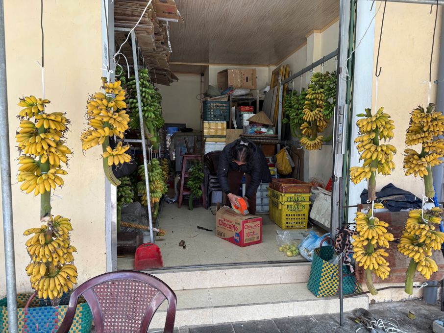 Banana Ngu was sold at Ly Thuong Kiet market (Nam Dinh).