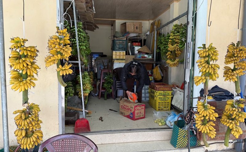 Banana Ngu was sold at Ly Thuong Kiet market (Nam Dinh).