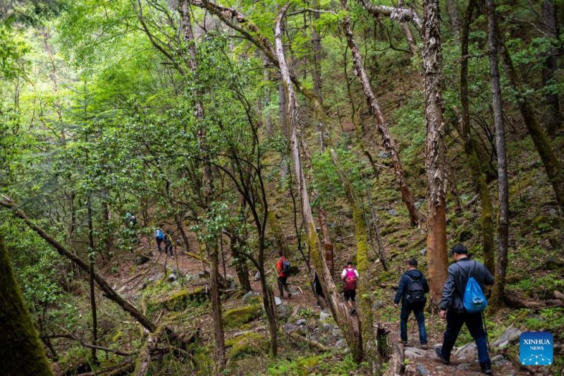 If connected to nature is the burning passion of many people, the digital world is the catalyst that helps promote these new communities. Photo: Xinhua