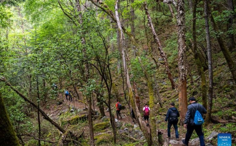 If connected to nature is the burning passion of many people, the digital world is the catalyst that helps promote these new communities. Photo: Xinhua