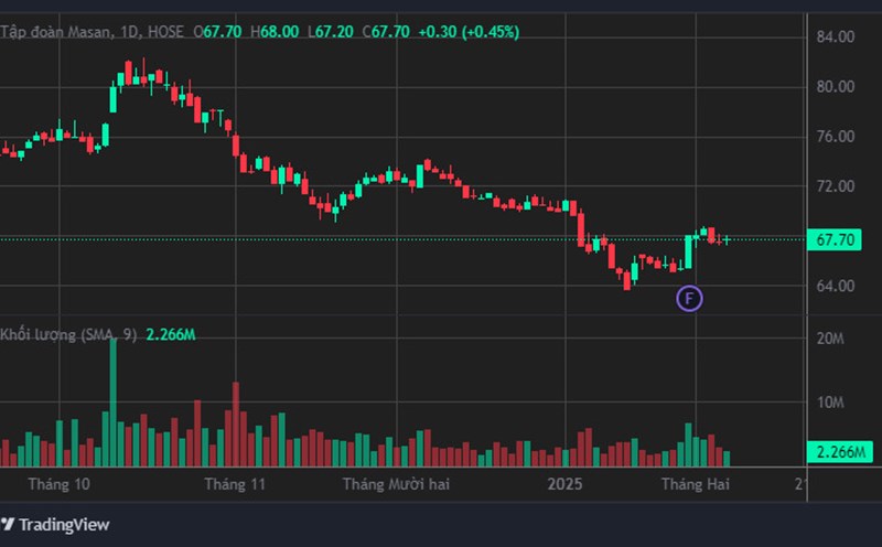 MSN shares net sold strongly in the session 7.2. Photo: Luc Giang