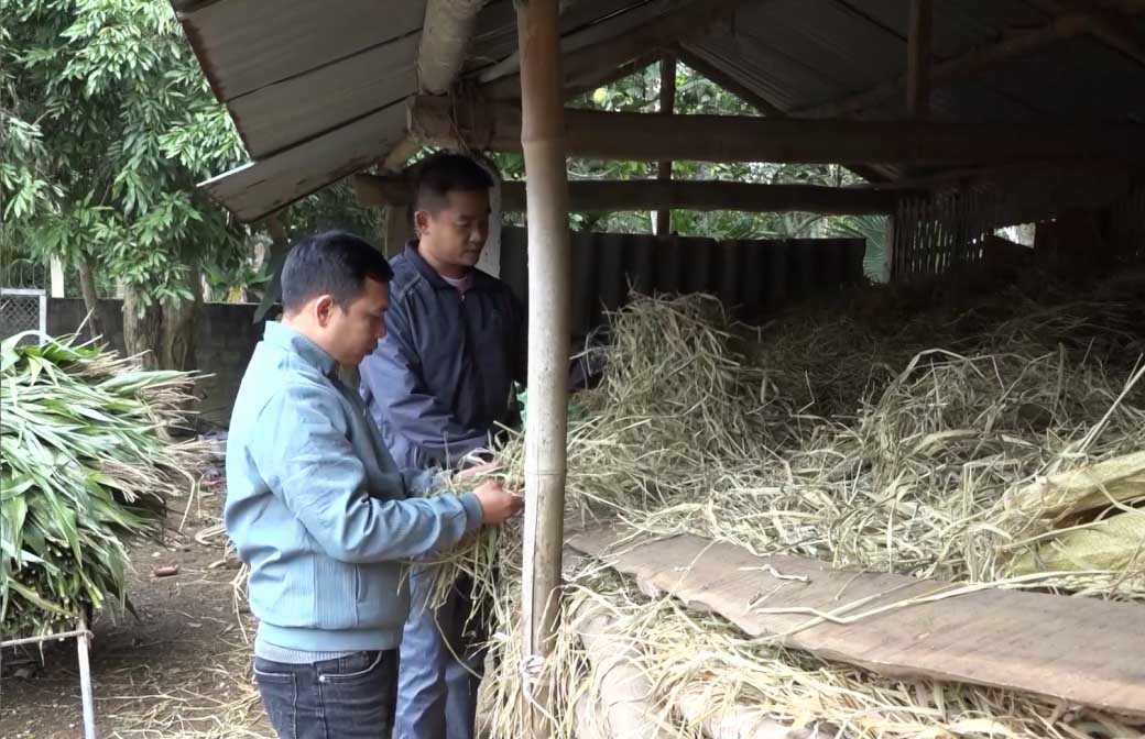 Ngoai giu am chuong trai, nguoi dan vung cao Ha Giang da bo sung thuc an dinh duong, tang suc khoe cho vat nuoi. Anh: Thanh Loan.