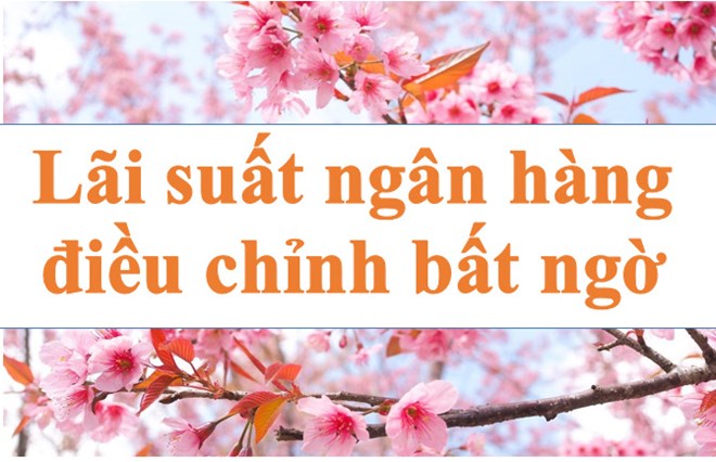 Lãi suất ngân hàng hôm nay 8.2: Điều chỉnh bất ngờ