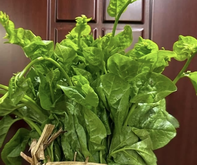 This is a vegetable that is thought to be purified and detoxified when added to the diet. Photo: Kieu Vu