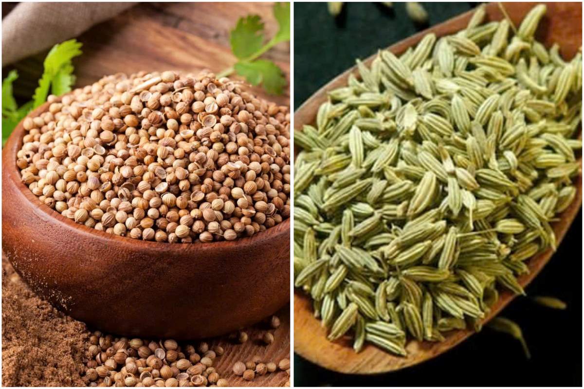 Coriander seeds, dill seeds are a good spice for women's health. Graphic: Thanh Thanh