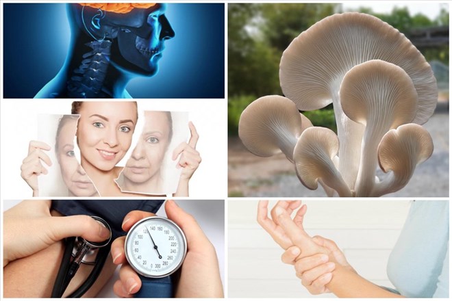 Mushrooms are a healthy, nutritious food, especially suitable for people with diabetes. Photo: Boldsky.