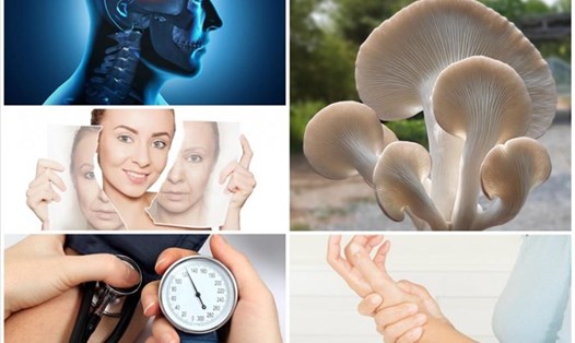 Nấm là một thực phẩm lành mạnh, giàu dinh dưỡng, đặc biệt phù hợp với người bệnh tiểu đường. Ảnh: Boldsky.