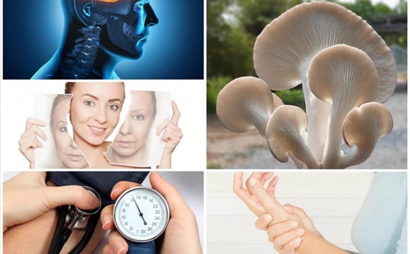 Mushrooms are a healthy, nutritious food, especially suitable for people with diabetes. Photo: Boldsky.