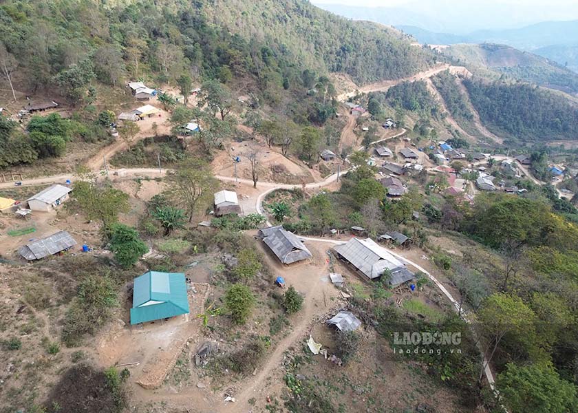 Cach trung tam TP Dien Bien Phu khoang 50km, ban Nam Cum, xa Ngoi Cay, huyen Muong Ang, tinh Dien Bien dang tro thanh diem den hap dan nho so huu hon 1.200 cay hoa ban co thu.