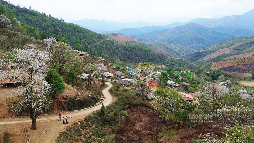 Truoc do, vao ngay 22.1.2025, Pho Thu tuong, Bo truong Ngoai giao Bui Thanh Son da tham du Le dong dien tram bien ap dau tien cua huyen trong chuong trinh “Bung sang Dien Bien” tai ban Nam Cum. Su kien danh dau buoc phat trien moi trong viec cai thien co so ha tang, phuc vu nhu cau du lich va doi song nguoi dan.