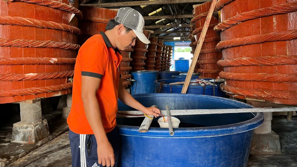 Festival also aims to contribute to promoting the socio -economic development, tourism and culture of Phu Quoc. Photo: Xuan Nhi