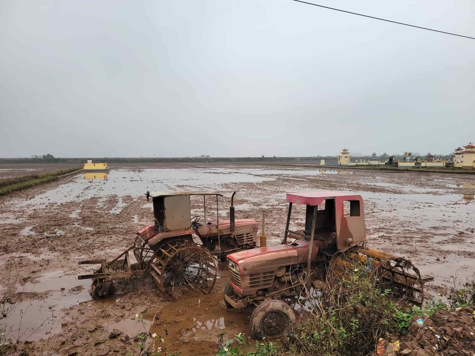 Many areas of the people have plowed but due to saline intrusion leading to shortage of water, they cannot be cultivated. Photo: Nguyen Truong
