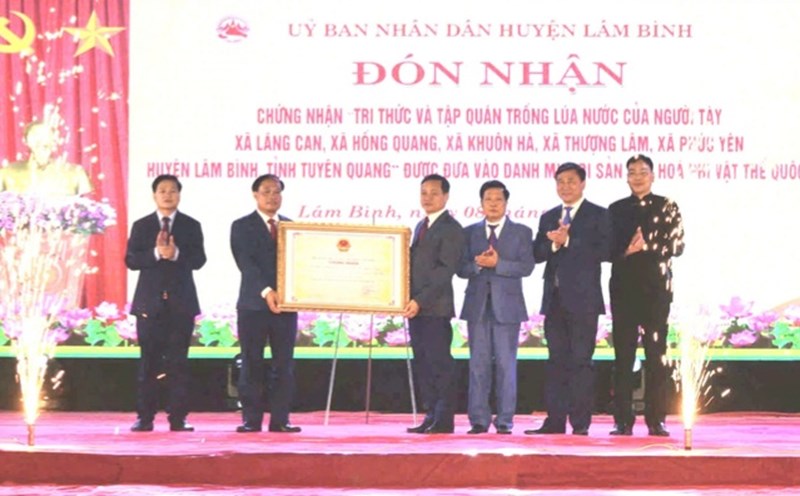 Lam Binh district received the national intangible cultural heritage of wet rice cultivation knowledge. Photo: Dao Thanh