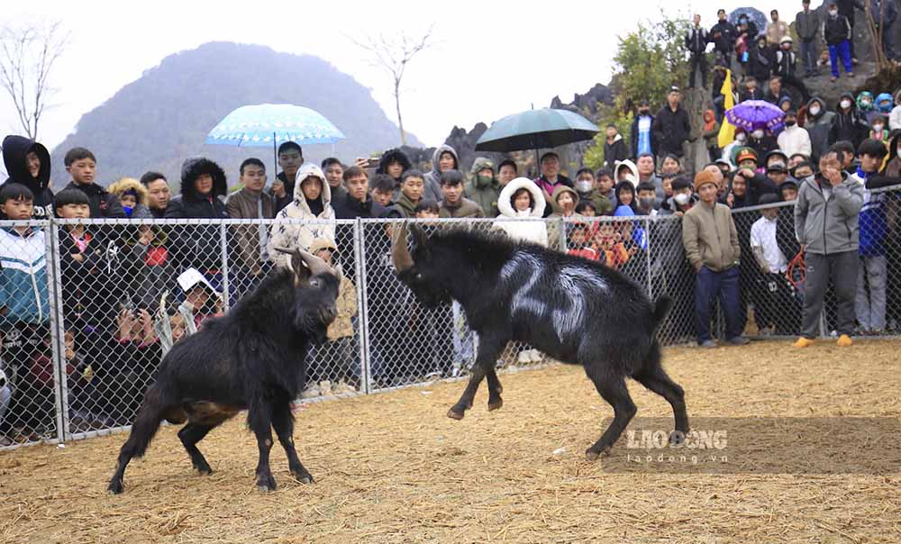 Voi hon 70% dien tich tu nhien la nui da, Tua Chua la noi rat phu hop de phat trien dan de va co so luong de rat lon so voi cac dia phuong o khu vuc Tay Bac.