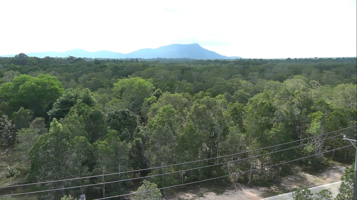 Warning the risk of forest fires at level V in some areas of Phu Quoc National Park managed such as Bai Thom, Ganh Dau, Cua Duong, Ham Ninh and Cua Can. Photo: Xuan Nhi
