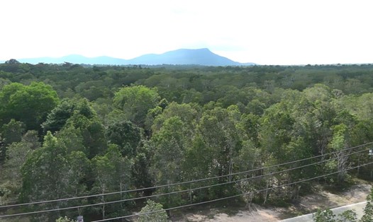 Cảnh báo nguy cơ xảy ra cháy rừng ở cấp V ở 1 số khu vực thuộc Vườn quốc gia Phú Quốc quản lý như các xã Bãi Thơm, Gành Dầu, Cửa Dương, Hàm Ninh, Cửa Cạn. Ảnh: Xuân Nhi