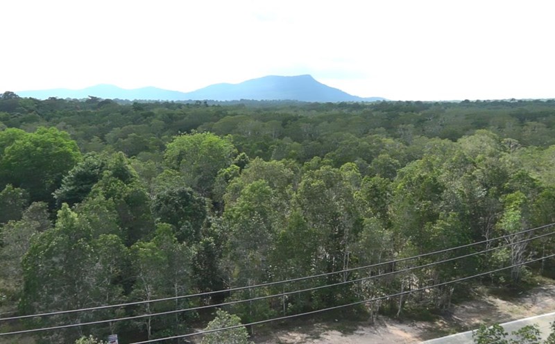 Warning the risk of forest fires at level V in some areas of Phu Quoc National Park managed such as Bai Thom, Ganh Dau, Cua Duong, Ham Ninh and Cua Can. Photo: Xuan Nhi