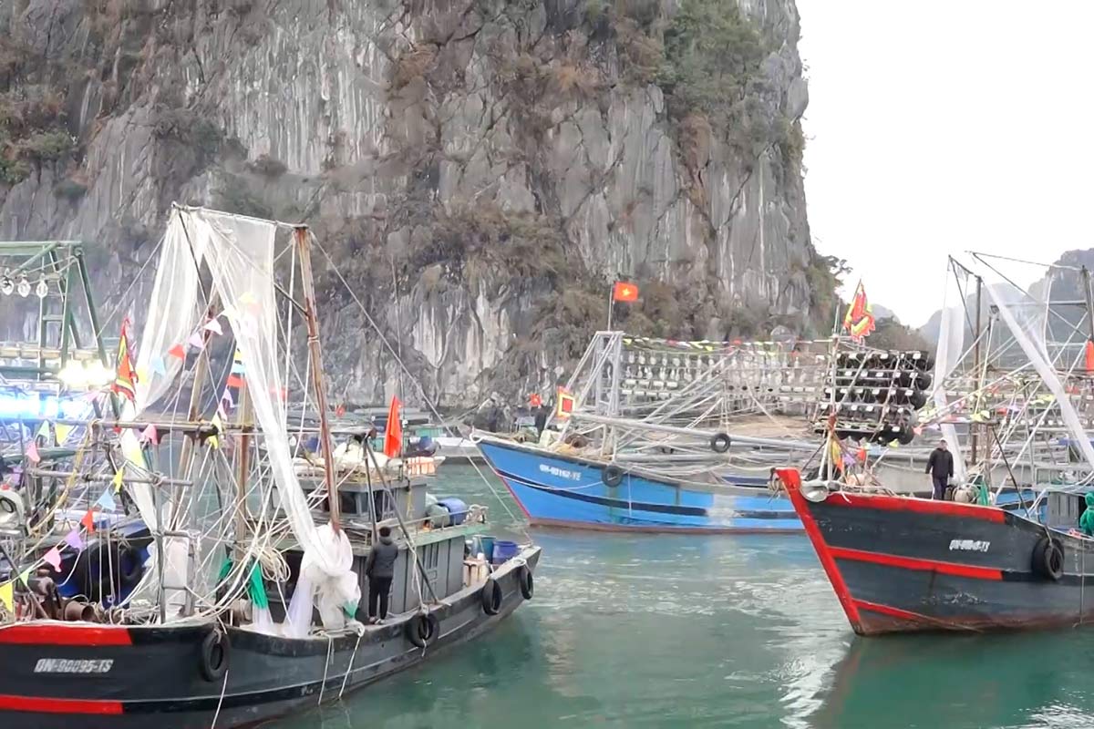 The fishing vessels are exported in Van Don district, Quang Ninh province. Photo: Van Don E -portal