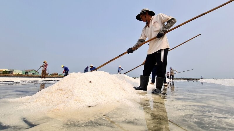 The long -standing Bac Lieu salt industry, the match when its profession is honored. Photo: Nhat Ho