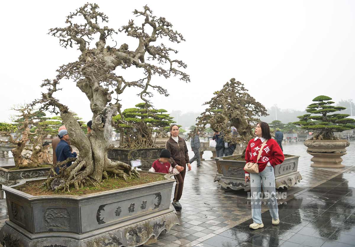 The ancient work has a beautiful, artistic figure. Photo: Ha Vi