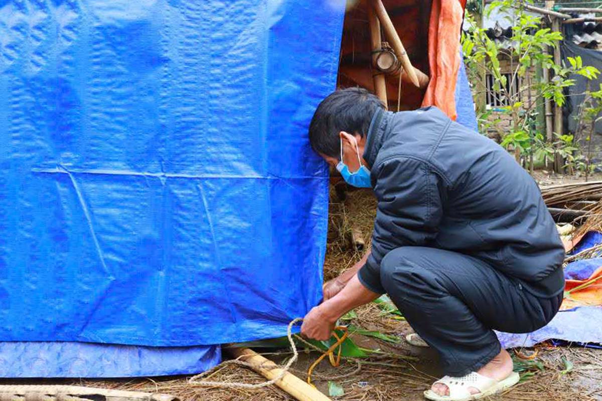 Người dân vùng cao huyện Bình Liêu, tỉnh Quảng Ninh chủ động che chắn để đảm bảo phòng chống rét cho đàn vật nuôi. Ảnh: Cổng TTĐT Bình Liêu