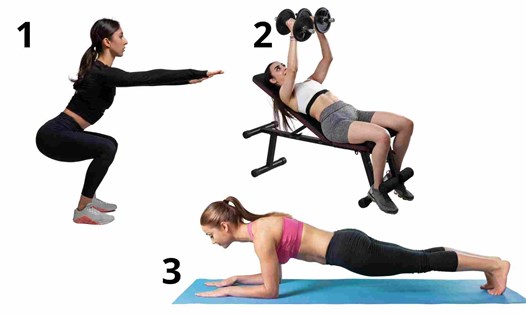 Một số bài tập dành cho phụ nữ giúp giảm mỡ nội tạng. Đồ họa: Hạ Mây