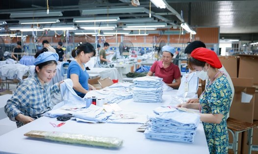 Chính phủ ban hành quy định về quản lý lao động, tiền lương, thù lao, tiền thưởng trong doanh nghiệp nhà nước. Ảnh minh họa: Hải Nguyễn