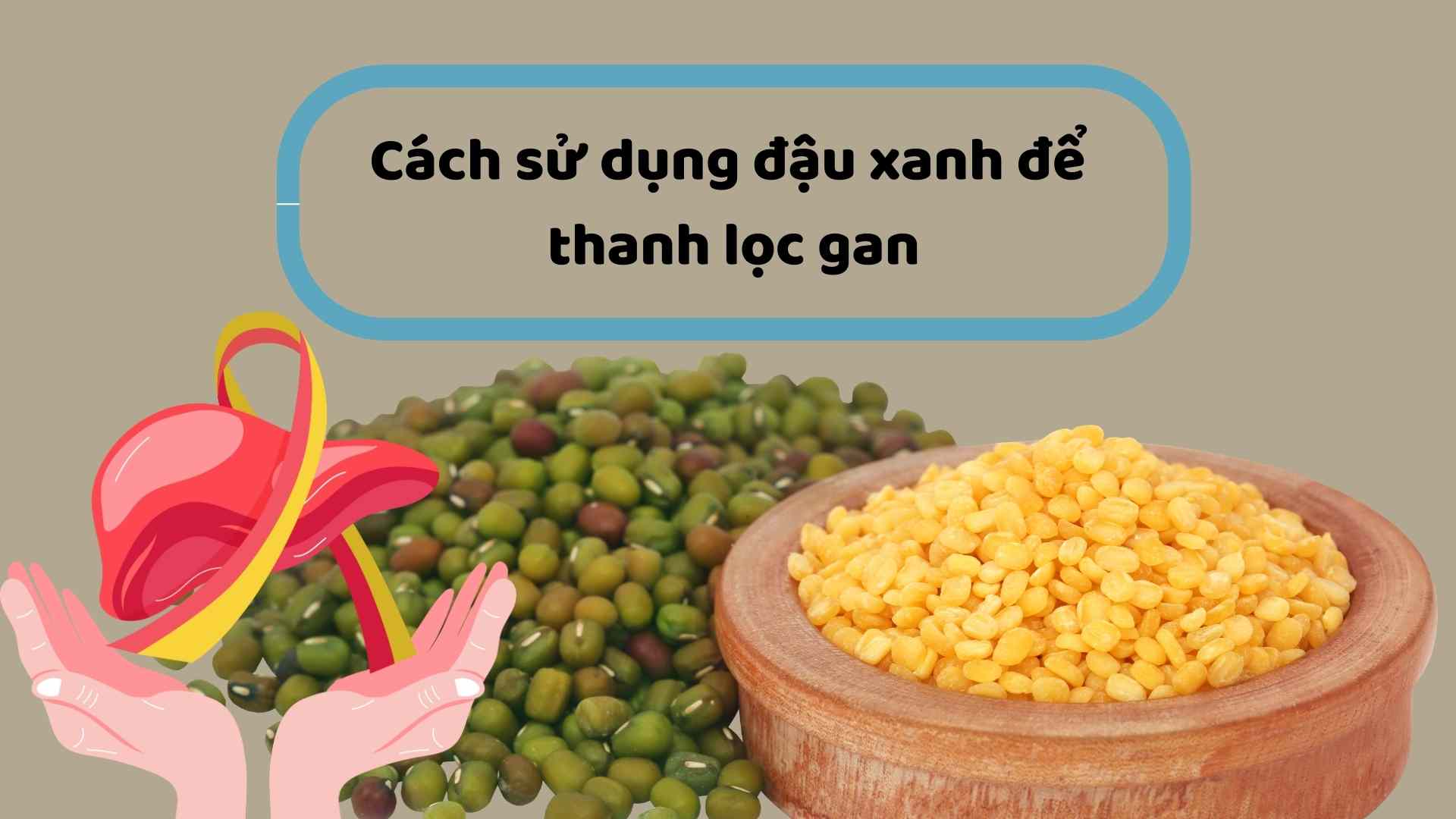How to use green beans to purify the liver. Graphics: Ha May