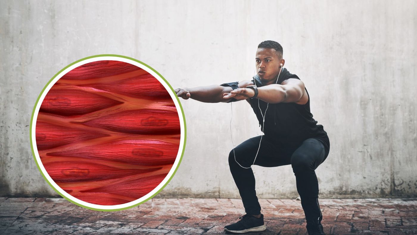 Squats test muscle endurance and strength. Graphics: Thanh Thanh