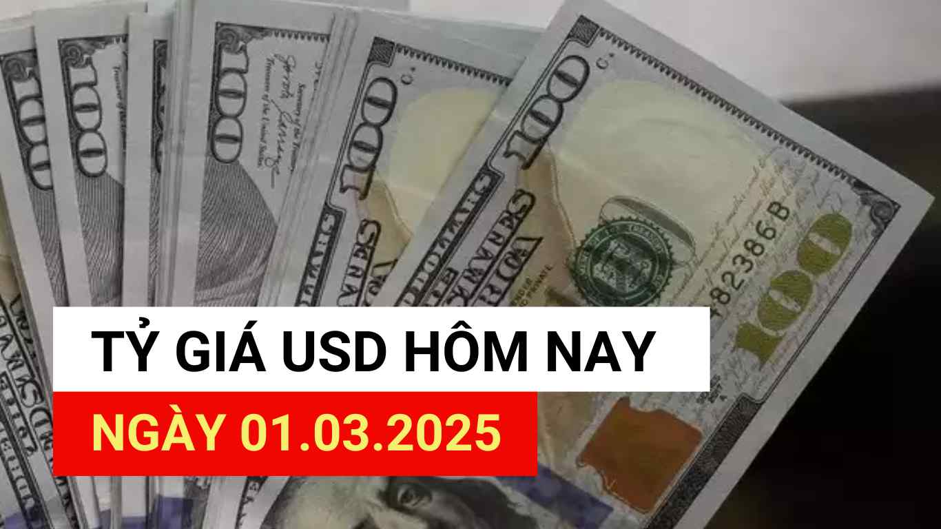 USD exchange rate today, March 1, 2025