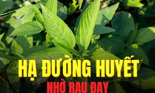 Đồ họa: Trà My
