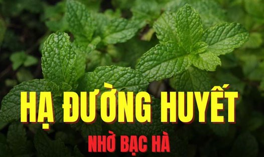 Đồ họa: Trà My