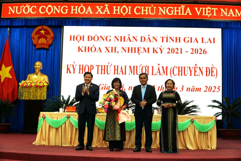 The 25th session of the Provincial People's Council approved the list of investment projects and elected Ms. Dinh Ly An as Head of the Department of Culture and Society. Photo: Thanh Tuan