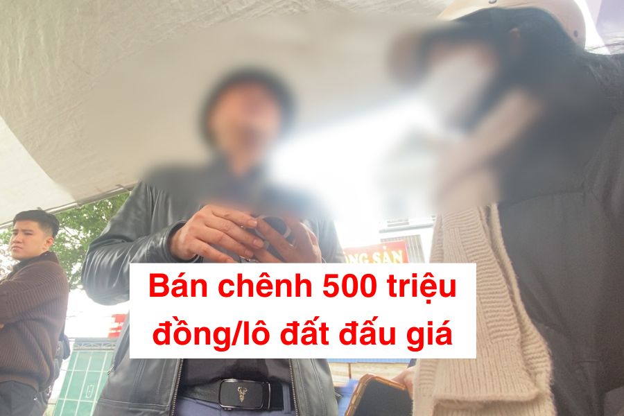 Vender diferencia de hasta 500 millones de dong de tierras de subastas Thanh Oai