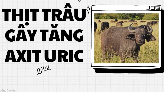 Meat that increases uric acid. Graphics: Huong Giang