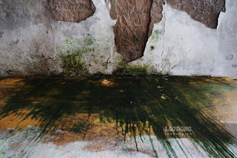 There are some ways to get rid of mold without bleach. Photo: Cat Tien