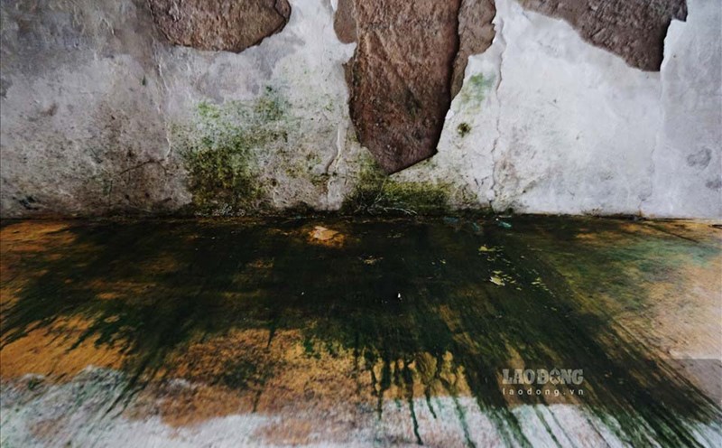 There are some ways to get rid of mold without bleach. Photo: Cat Tien