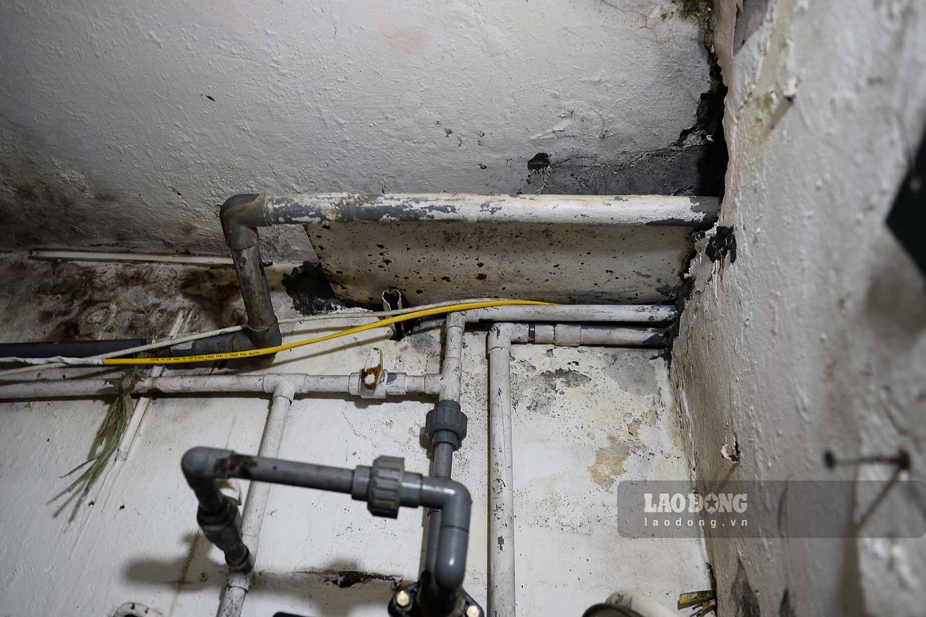 Domestic mold can grow in areas with high humidity, lack of light and poor circulation. Photo: Cat Tien