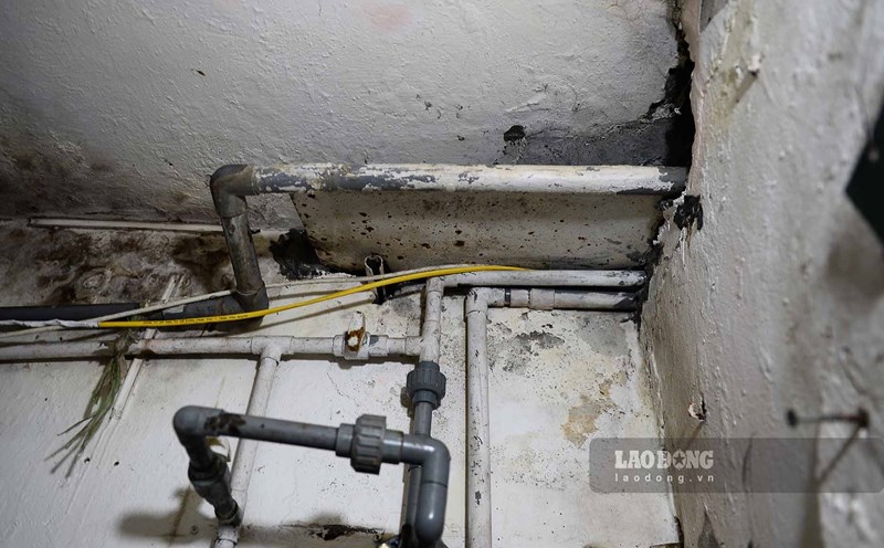 Domestic mold can grow in areas with high humidity, lack of light and poor circulation. Photo: Cat Tien