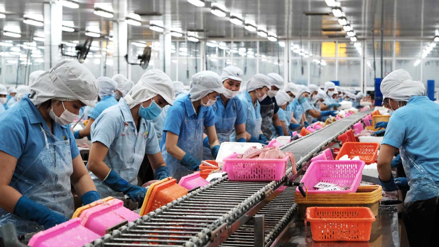 Seafood enterprises in Can Tho are abundant in orders, ensuring jobs for workers.