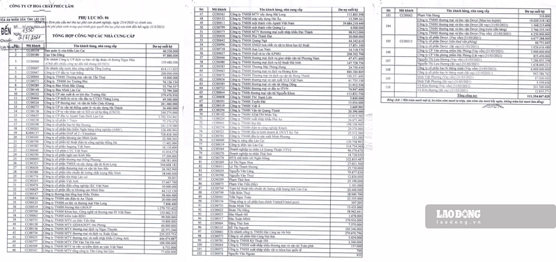 Tai thoi diem nop don pha san, Cong ty CP Hoa chat Phuc Lam con no tien luong cua lao dong, no ngan hang, BHXH, cac nha cung cap... voi so tien len toi hon 300 ti dong. Anh: Dinh Dai