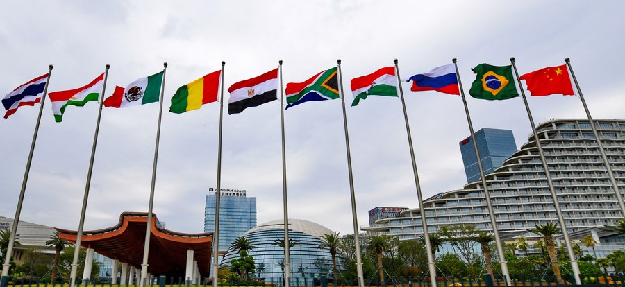 Zimbabwe is doing everything possible to join the BRICS group, the country's top diplomat said. Photo: Xinhua