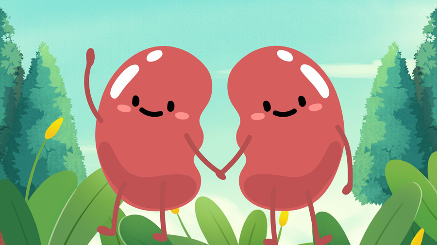 Detoxify kidneys quickly with cheap drinks