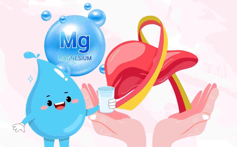 Magnesium-rich drinks help detoxify and restore the liver effectively. Graphics: Dinh Dinh